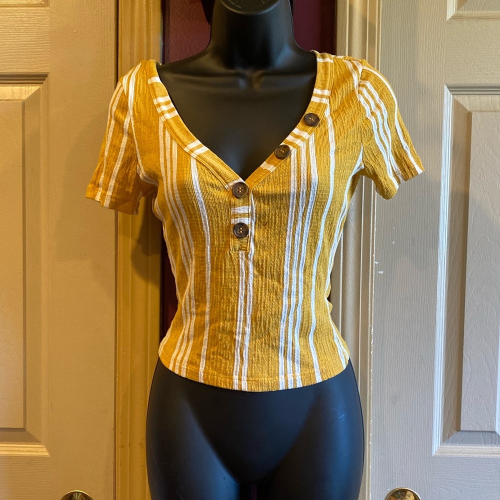 Love Tree Crop Top